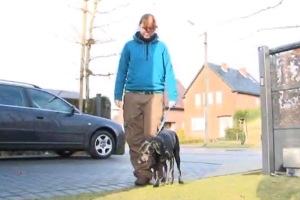 Honden en Kinderen